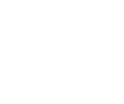 Regional Clash Arena South America