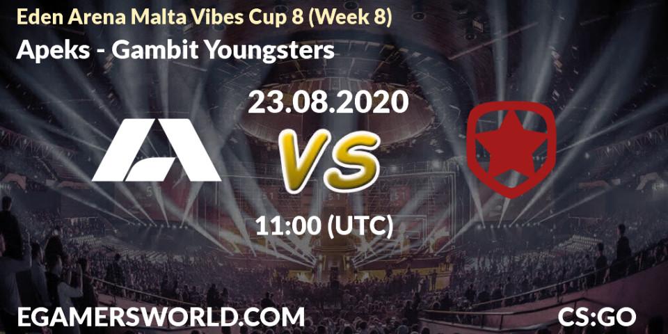 Apeks vs Gambit Youngsters: Betting TIp, Match Prediction. 23.08.20. CS2 (CS:GO), Eden Arena Malta Vibes Cup 8 (Week 8)