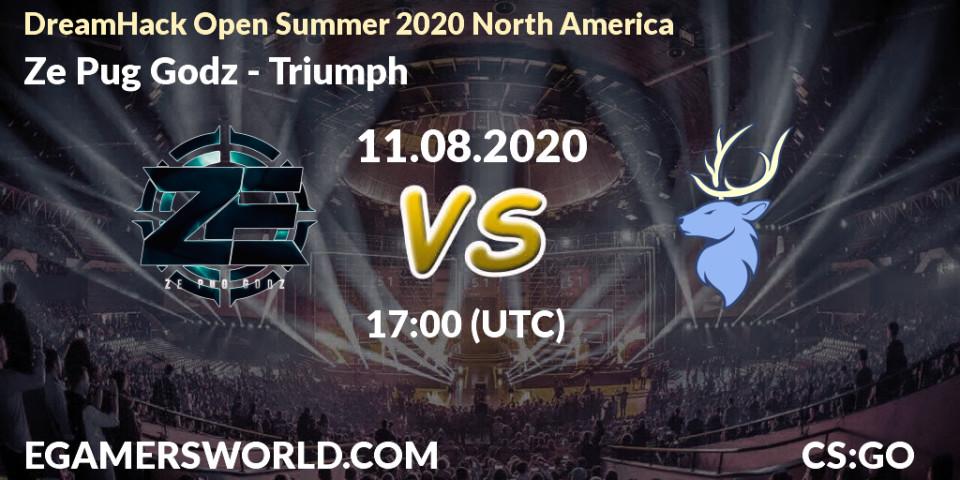 Ze Pug Godz vs Triumph: Betting TIp, Match Prediction. 11.08.20. CS2 (CS:GO), DreamHack Open Summer 2020 North America