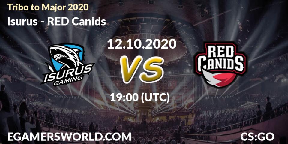 Isurus vs RED Canids: Betting TIp, Match Prediction. 12.10.20. CS2 (CS:GO), Tribo to Major 2020