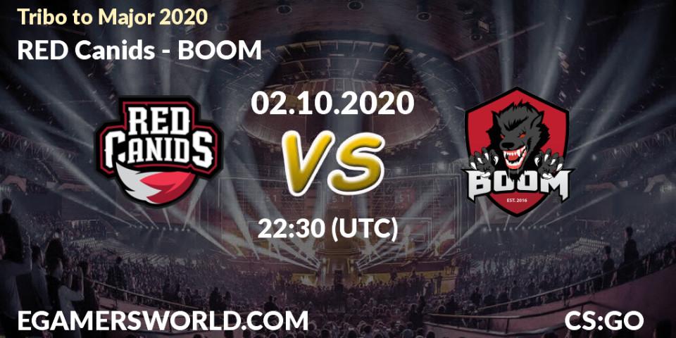 RED Canids vs BOOM: Betting TIp, Match Prediction. 02.10.20. CS2 (CS:GO), Tribo to Major 2020