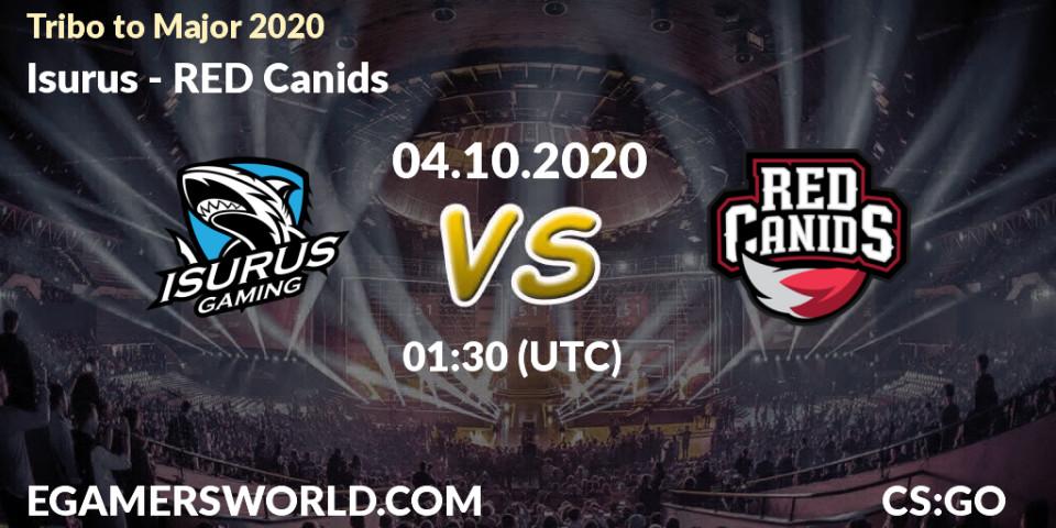 Isurus vs RED Canids: Betting TIp, Match Prediction. 04.10.20. CS2 (CS:GO), Tribo to Major 2020