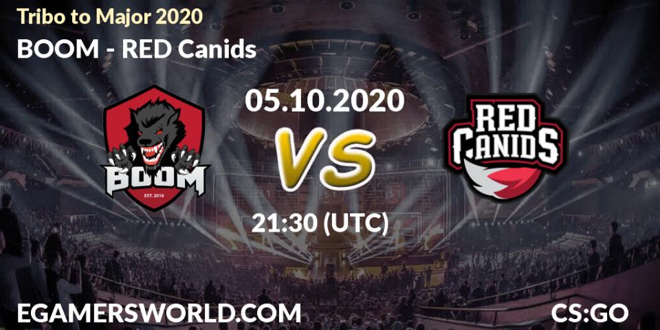 BOOM vs RED Canids: Betting TIp, Match Prediction. 05.10.20. CS2 (CS:GO), Tribo to Major 2020