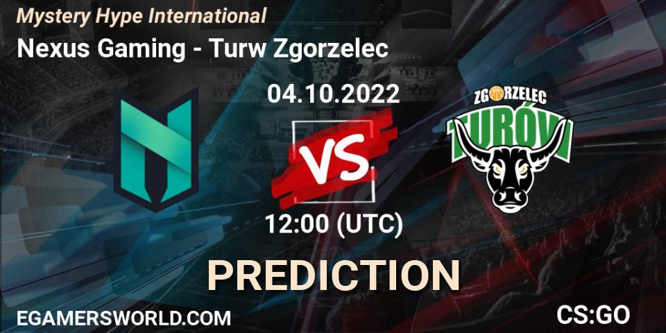 Nexus Gaming vs Turów Zgorzelec: Betting TIp, Match Prediction. 04.10.2022 at 12:00. Counter-Strike (CS2), Mystery Hype International