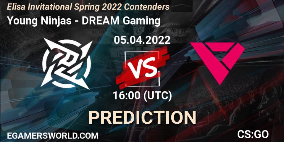 Young Ninjas vs DREAM Gaming: Betting TIp, Match Prediction. 05.04.22. CS2 (CS:GO), Elisa Invitational Spring 2022 Contenders