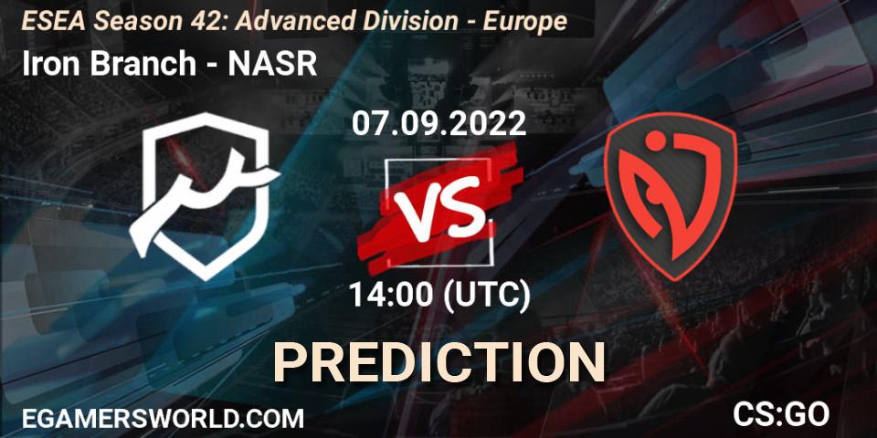 Iron Branch vs NASR: Betting TIp, Match Prediction. 07.09.2022 at 14:00. Counter-Strike (CS2), ESEA Season 42: Advanced Division - Europe