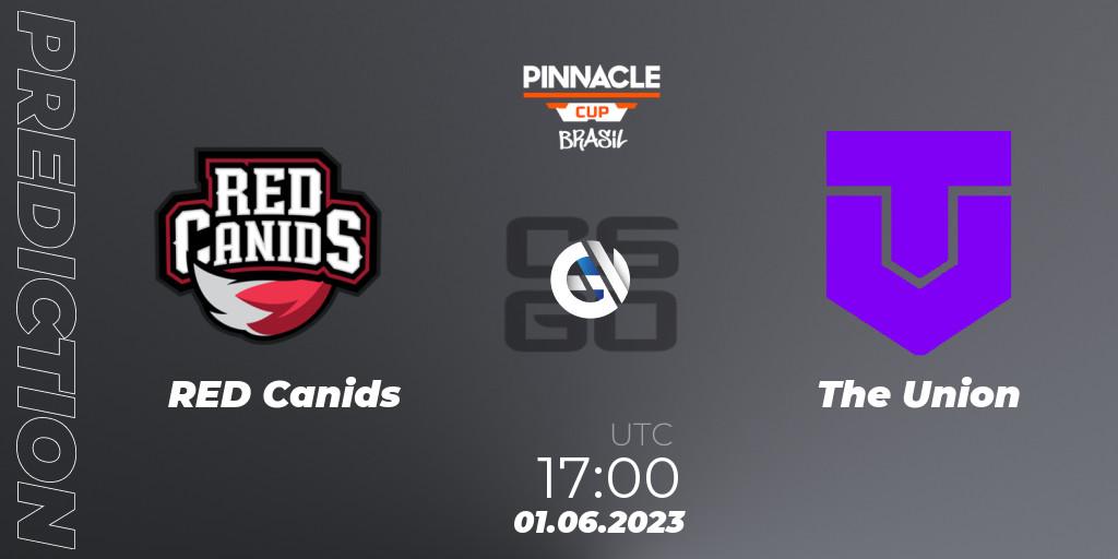 RED Canids vs The Union: Betting TIp, Match Prediction. 01.06.23. CS2 (CS:GO), Pinnacle Brazil Cup 1