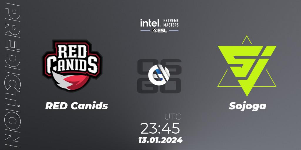 RED Canids vs Sojoga: Betting TIp, Match Prediction. 13.01.24. CS2 (CS:GO), Intel Extreme Masters China 2024: South American Open Qualifier #1