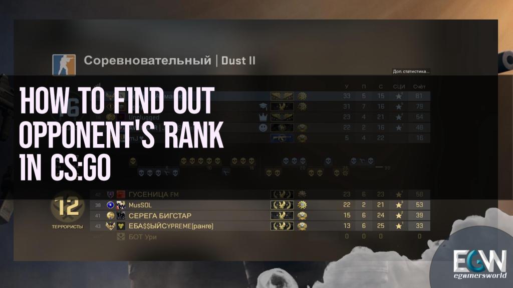 How to find out the opponent's rank in CS:GO