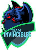 Team Invincibles (callofduty)