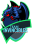 Team Invincibles