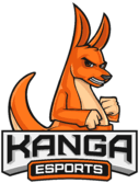 Kanga Esports(overwatch)