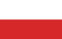 Team Poland (pokemon)