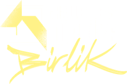 VALORANT Challengers 2024 Turkey: Birlik Split 2