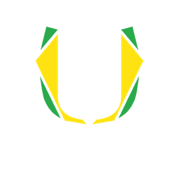MIBR (Made in Brazil). CS2 (CS:GO) team: Roster, schedule, next match,  members, all players