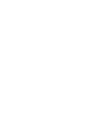 Ninjas in Pyjamas Lightning