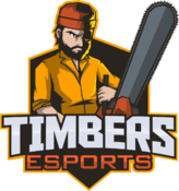 Timbers Esports(valorant)