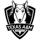 Texas A&M University (valorant)