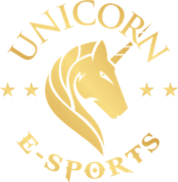 Unicorn Cyber(valorant)