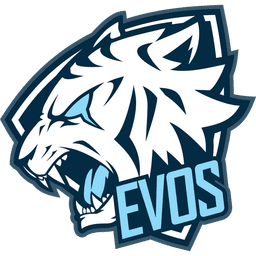 EVOS Esports TH(wildrift)