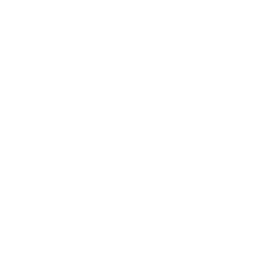 Furious Gaming(wildrift)