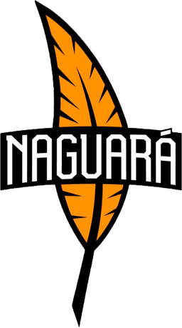Naguara Team(wildrift)