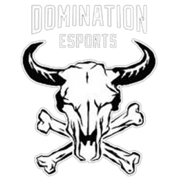 DomiNation eSports(counterstrike)