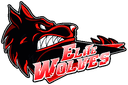 Elite Wolves (counterstrike)