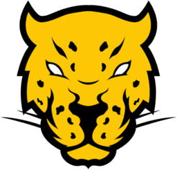 Jaguares Esports Female(counterstrike)