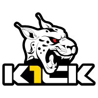k1ck(counterstrike)