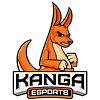 Kanga(counterstrike)