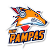 New Pampas (counterstrike)