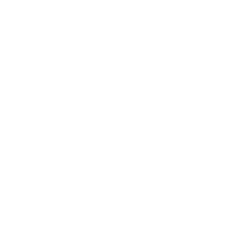 Oriental Xeon