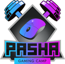 Pasha Gaming Camp (counterstrike)