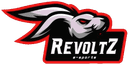 Revoltz (counterstrike)