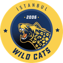 İstanbul Wildcats (counterstrike)