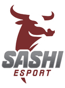 Sashi Esport (counterstrike)