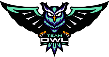 Team OWL