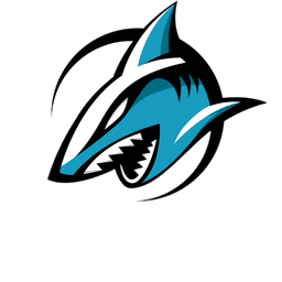 Team Adroit(dota2)