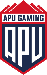 APU Gaming