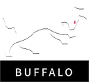 Buffalo Team (dota2)