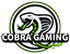 Cobra Gaming