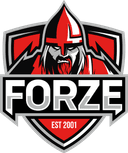 forZe eSports (dota2)