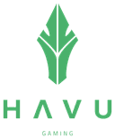 HAVU Gaming(dota2)