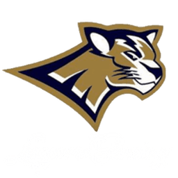 Leopard Gaming(dota2)
