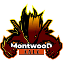 Montwood Zalz (dota2)