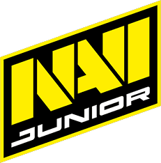 NaVi Junior(dota2)
