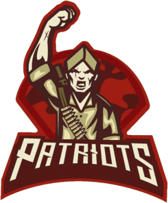 Patriots(dota2)