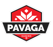 Pavaga Gaming(dota2)