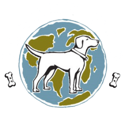Planet Dogs(dota2)